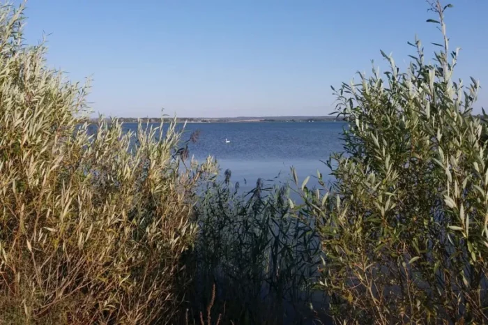 Lac De Madine